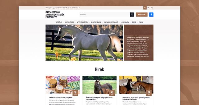 male__uj-weboldal