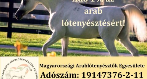 (Magyar) Adó 1% az arab lótenyésztésért