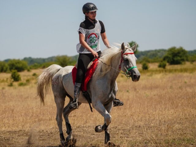 Folytatódik a szezon a Magyar Bajnokságban
