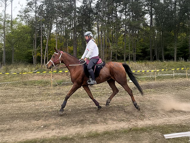 (Magyar) Véget ért a Magyar Távlovagló szezon – Bajnokok születtek