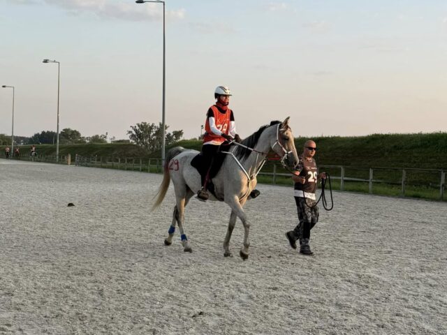 A kilométerek bajnokai