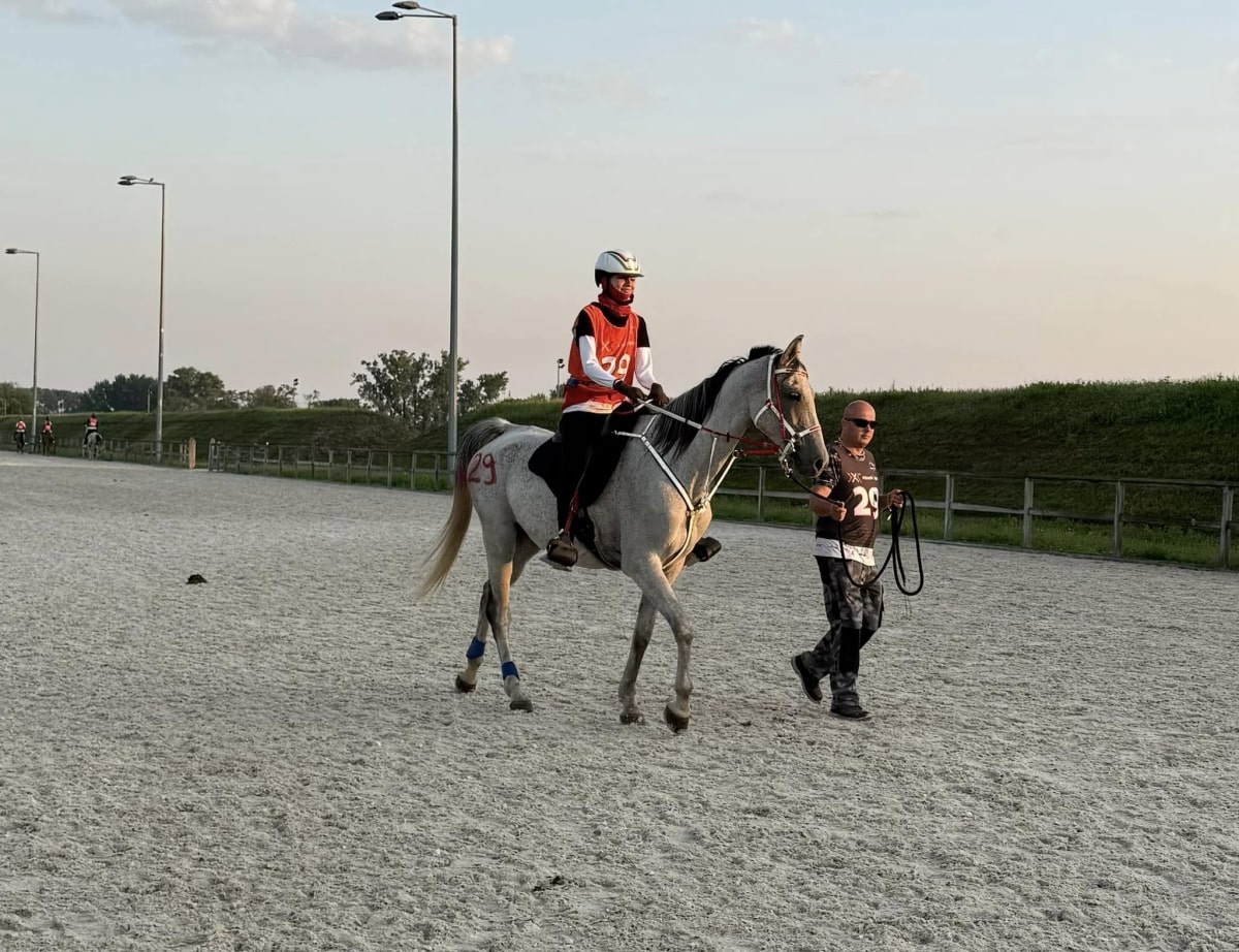 A kilométerek bajnokai