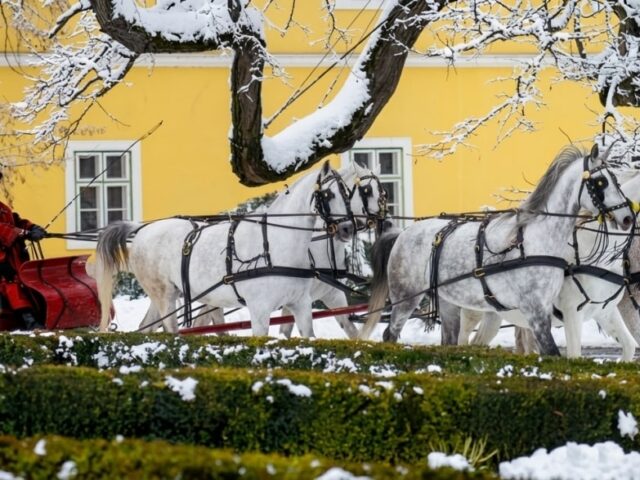 Békés Karácsonyt és Boldog Új Évet kívánunk!